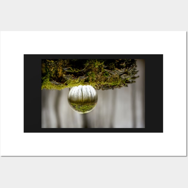 Oculus Mossy Wood Wall Art by heidiannemorris